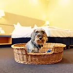 Inselhotel Hotel Potsdam