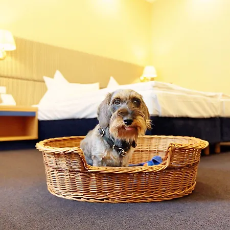 Inselhotel Szálloda Potsdam