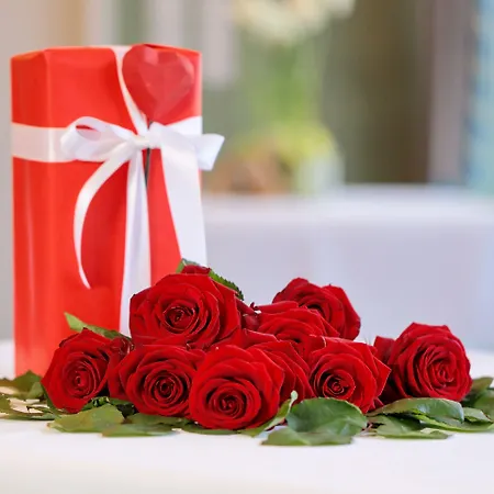 Inselhotel 4* Πότσδαμ