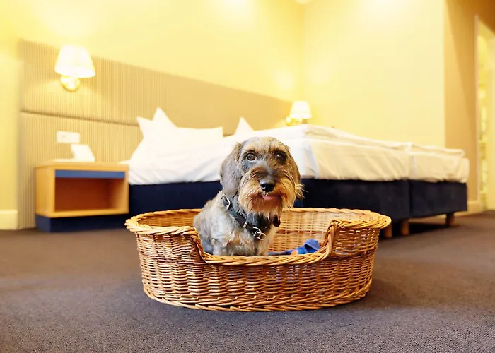 Inselhotel Hotel Poczdam