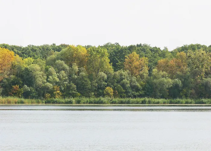 Inselhotel 호텔 4*